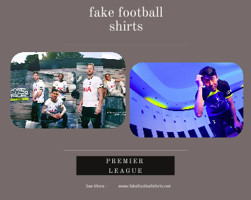 fake Tottenham Hotspur football shirts 23-24